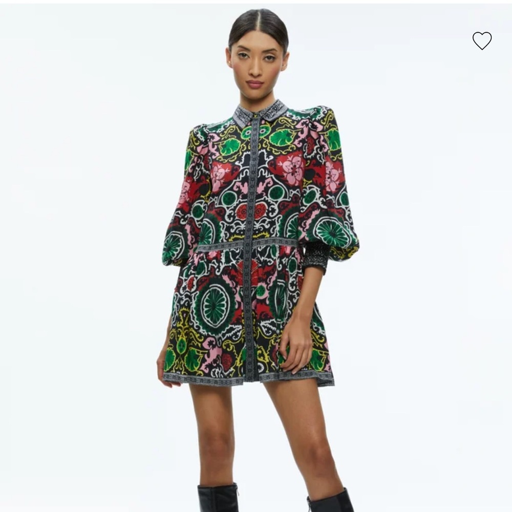 Embroidered Multicolor Mini Dress with Puff Sleeves